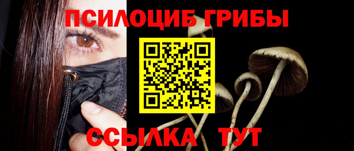Галлюциногенные грибы прущие грибы Кашира